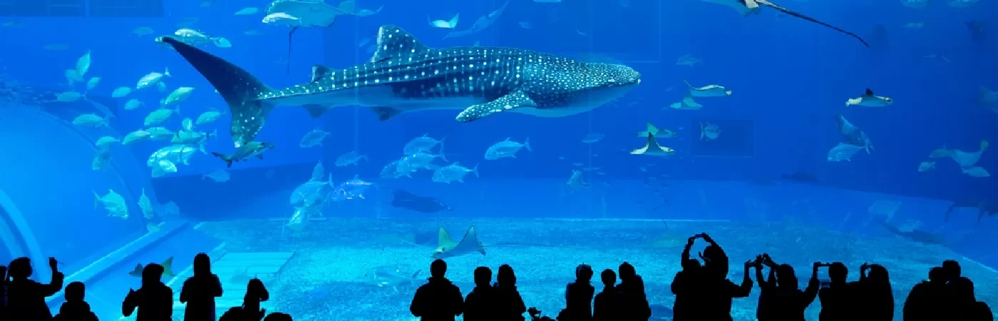 Okinawa: Un Mondo a Parte da Esplorare